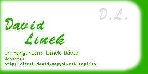 david linek business card